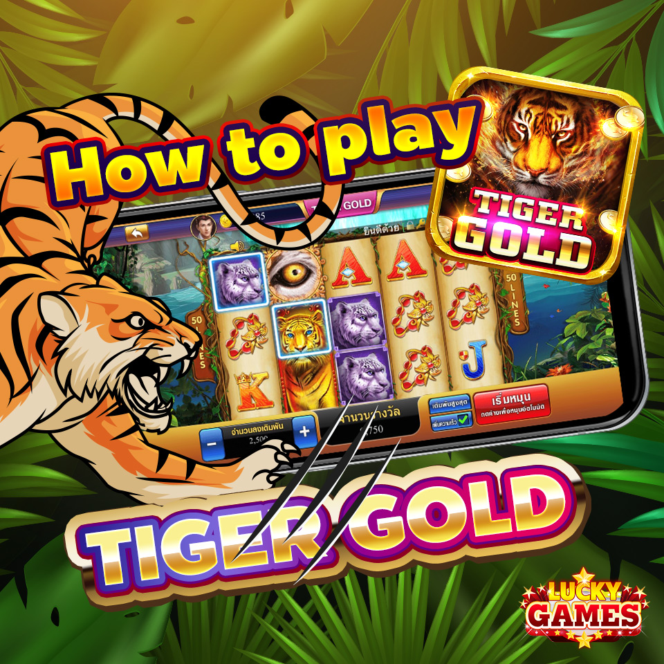 How to play “Tiger Gold”