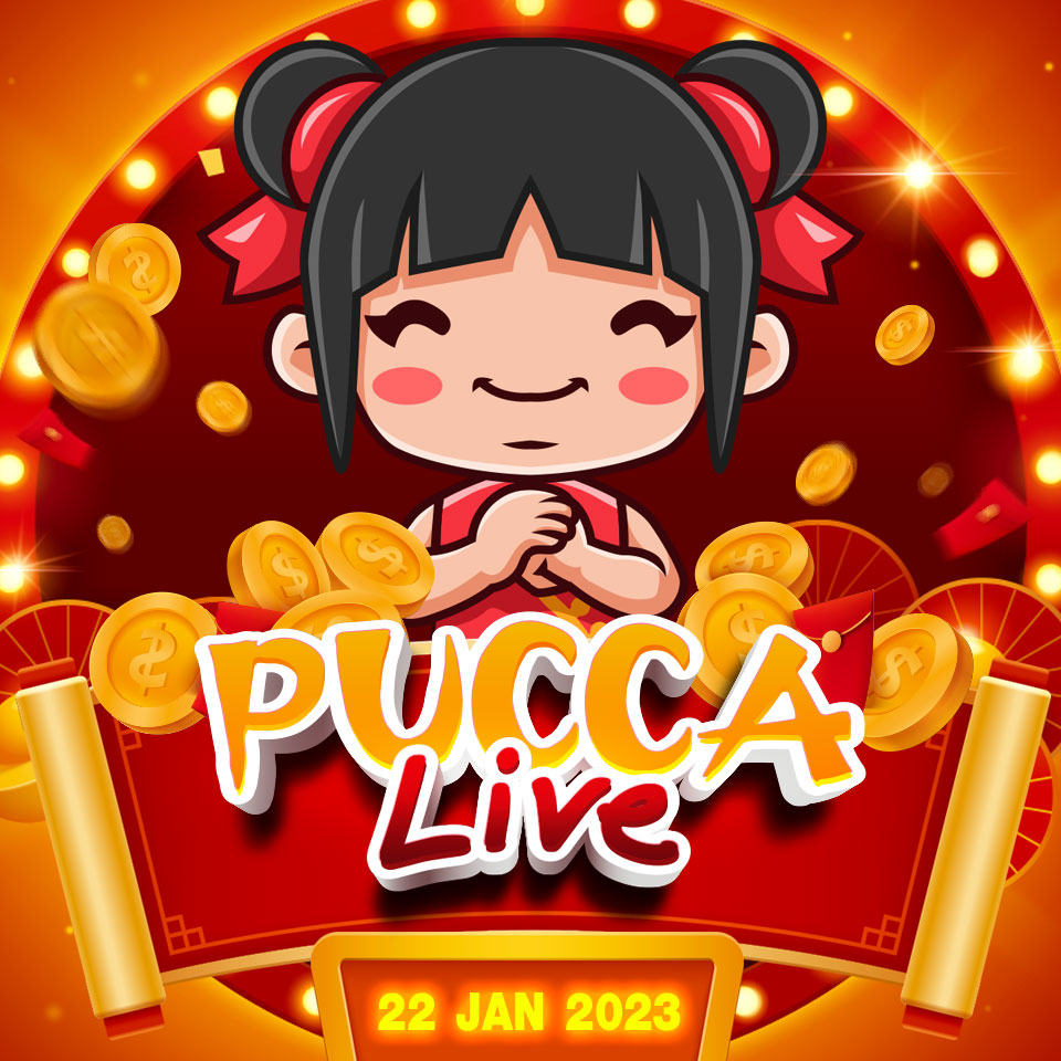 Pucca Live
